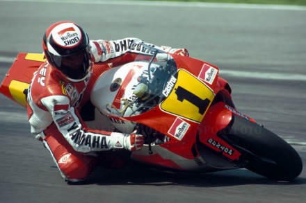 TRIBUTO A WAYNE RAINEY - FREDDIEFIX19